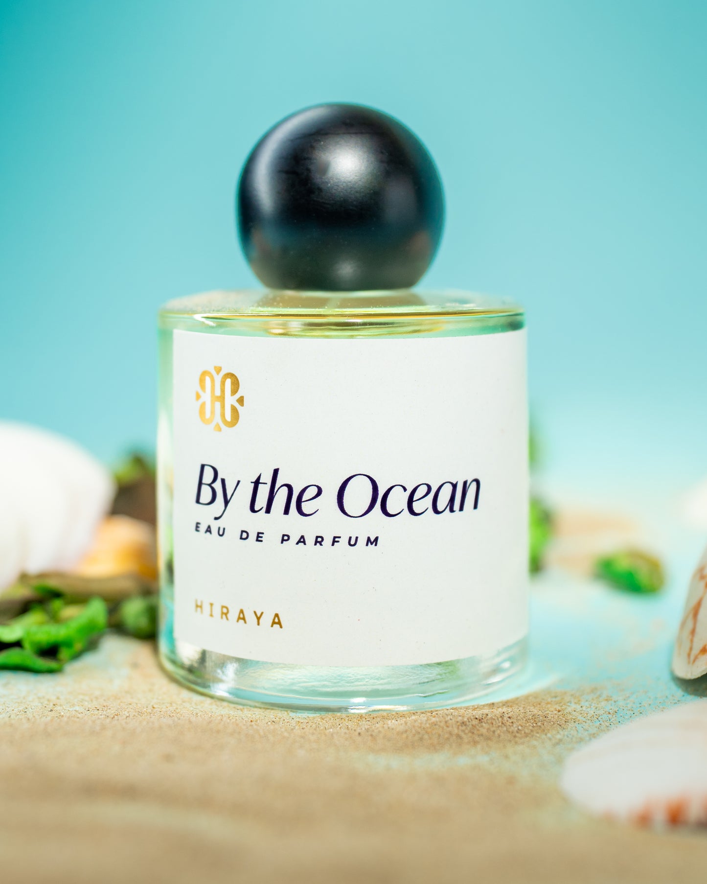 By the Ocean