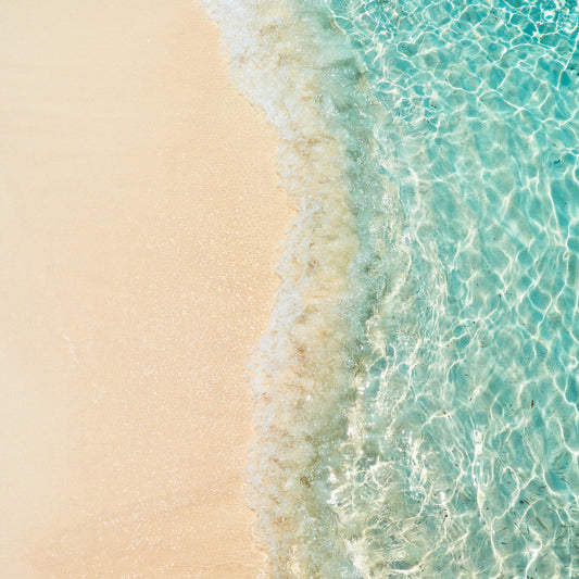 By the Ocean